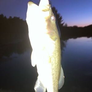 Meet your Posher, Killian